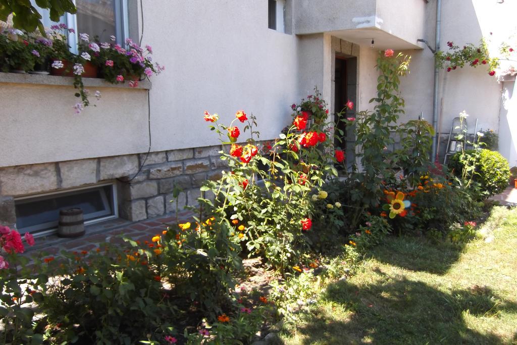 Borova House Hotel Tryavna Exterior photo