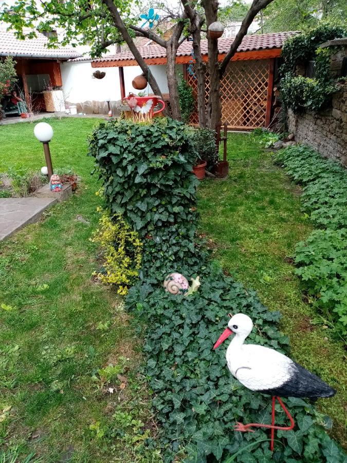 Borova House Hotel Tryavna Exterior photo